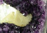 Dark Amethyst Cut Base Cluster With Honey Calcite #52591-2